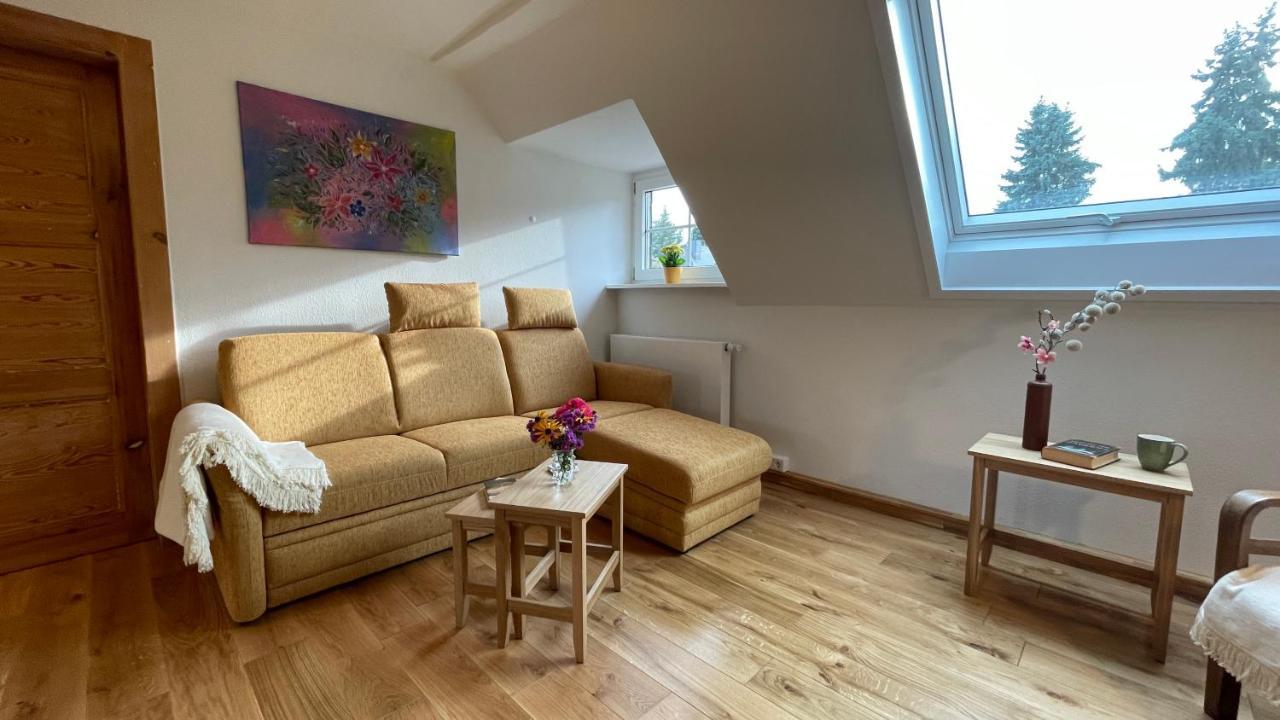 Carolinga Apartment Dresden Bagian luar foto